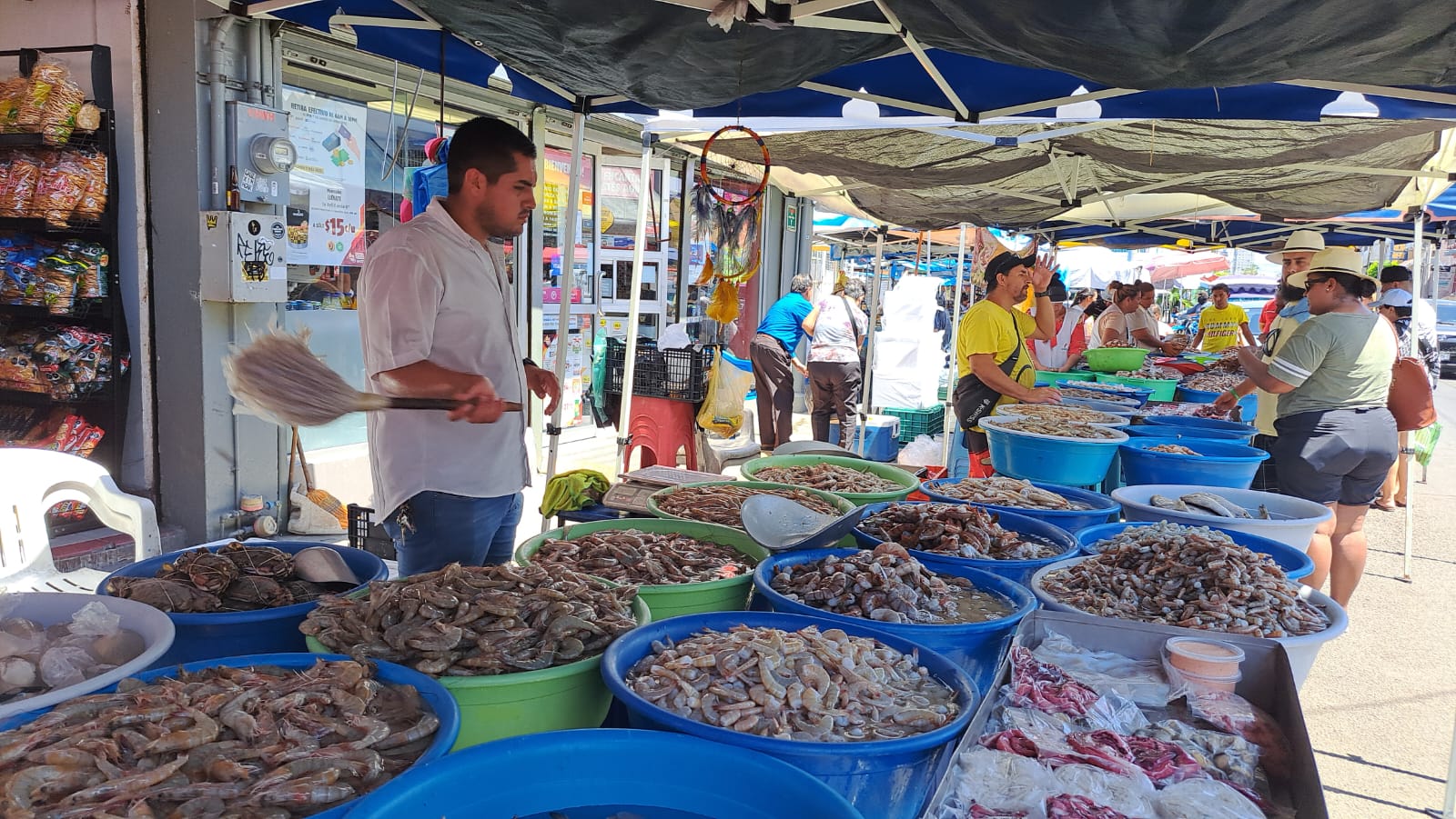 venta de camarón