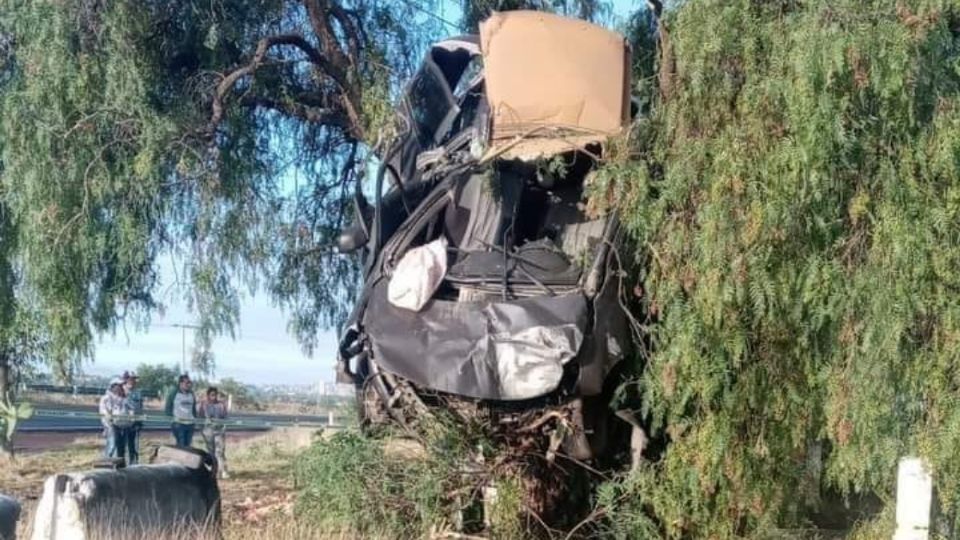 ¡Fuerte accidente! A exceso de velocidad, pierden el control y terminan arriba de un árbol; mueren dos