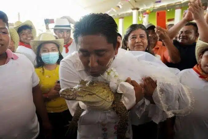 ¡Tradición ancestral! Alcalde oaxaqueño se casa con la niña princesa un enorme caimán