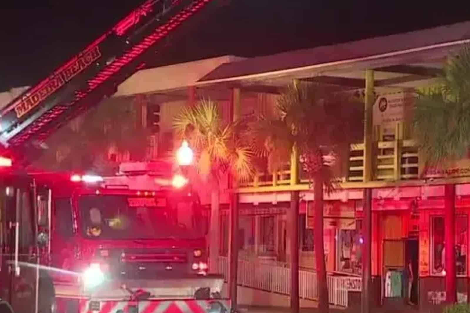 ¡Trágico! Mueren 40 animales tras incendio en un santuario de vida salvaje en Florida