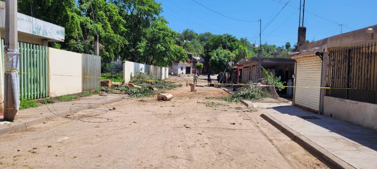 Barda derribada por árbol en las escuelas Francisco Gil Leyva en turno matutino y María de Jesús Morales turno vespertino