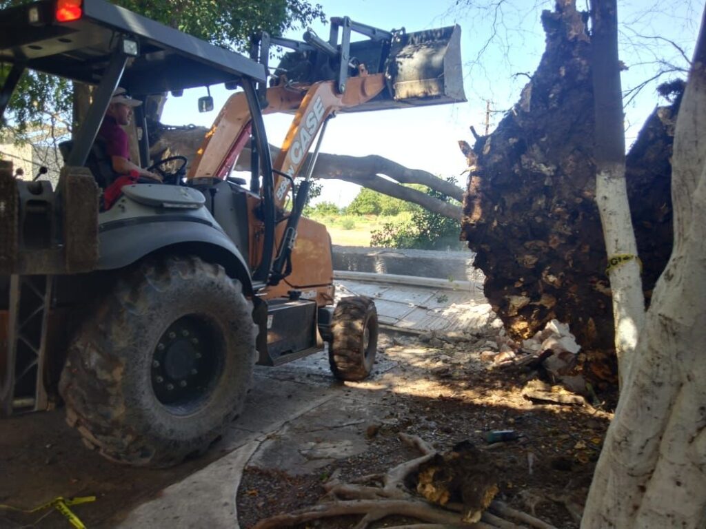 Maquinaria trabajando en la demolición de la entrada del estadio Guasave 89