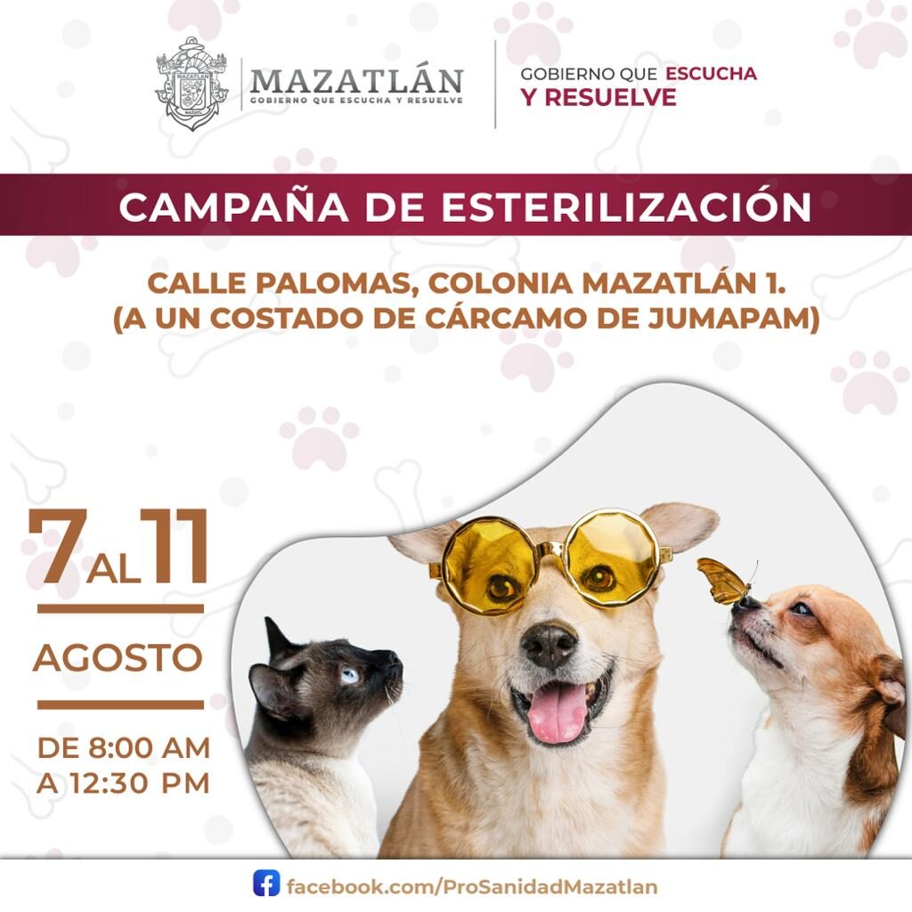 Imagen publicitaria de la campaña de esterilización de mascotas en Mazatlán I