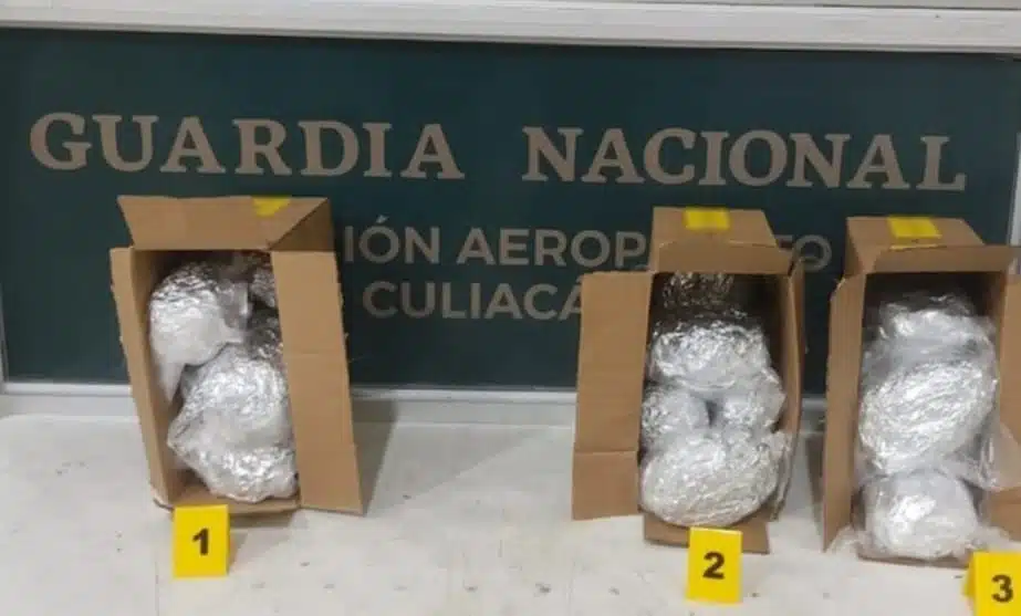 Cajas con bolsas de droga en su interior