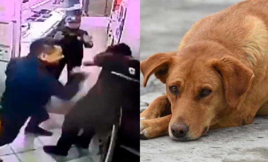 Atacante de empleado de Subway habría golpeado a un perro