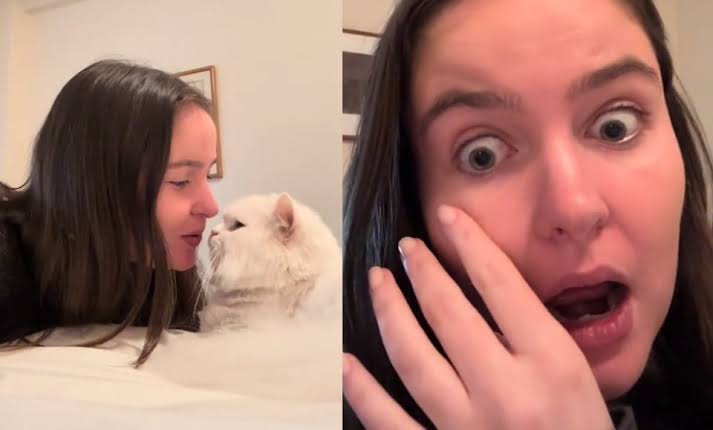 Aguas con los michis Gato deja ciega a su dueña; se vuelve viral