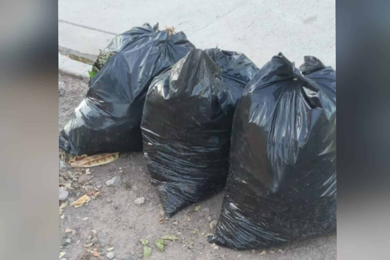 Bolsas de basura
