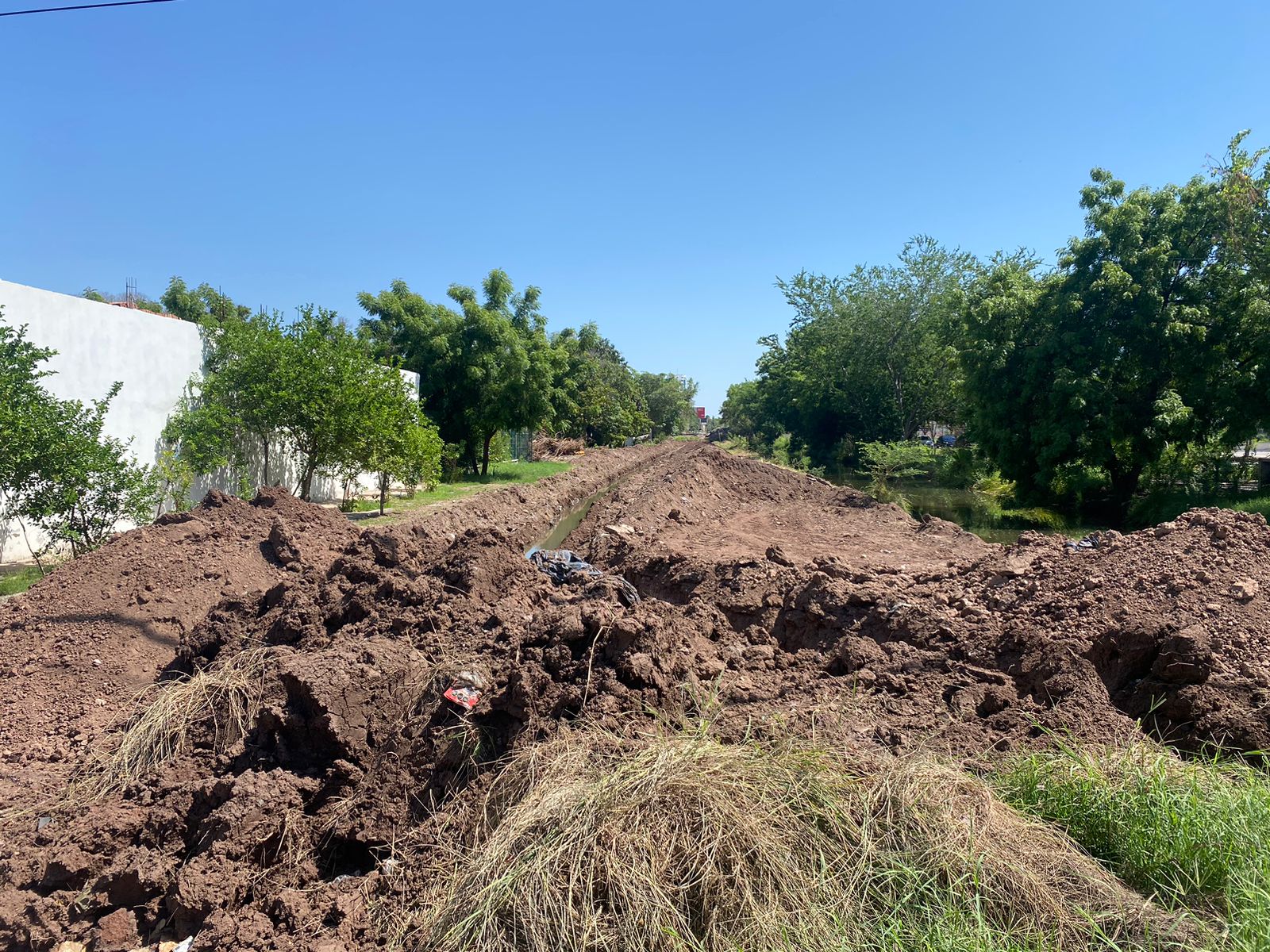 Tierra, árboles y agua de un canal