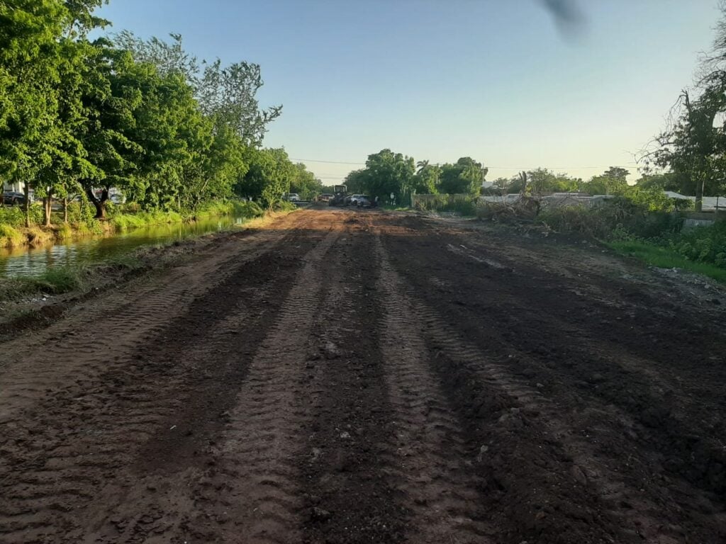 Una calle de tierra con árboles