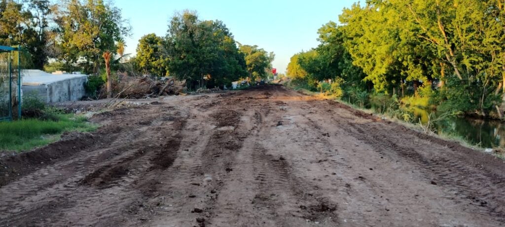 Una calle de tierra con árboles