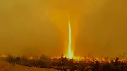 Captan tornado de fuego durante incendio forestal en Canadá