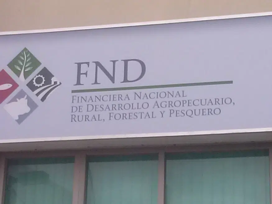 Financiera Nacional de Desarrollo