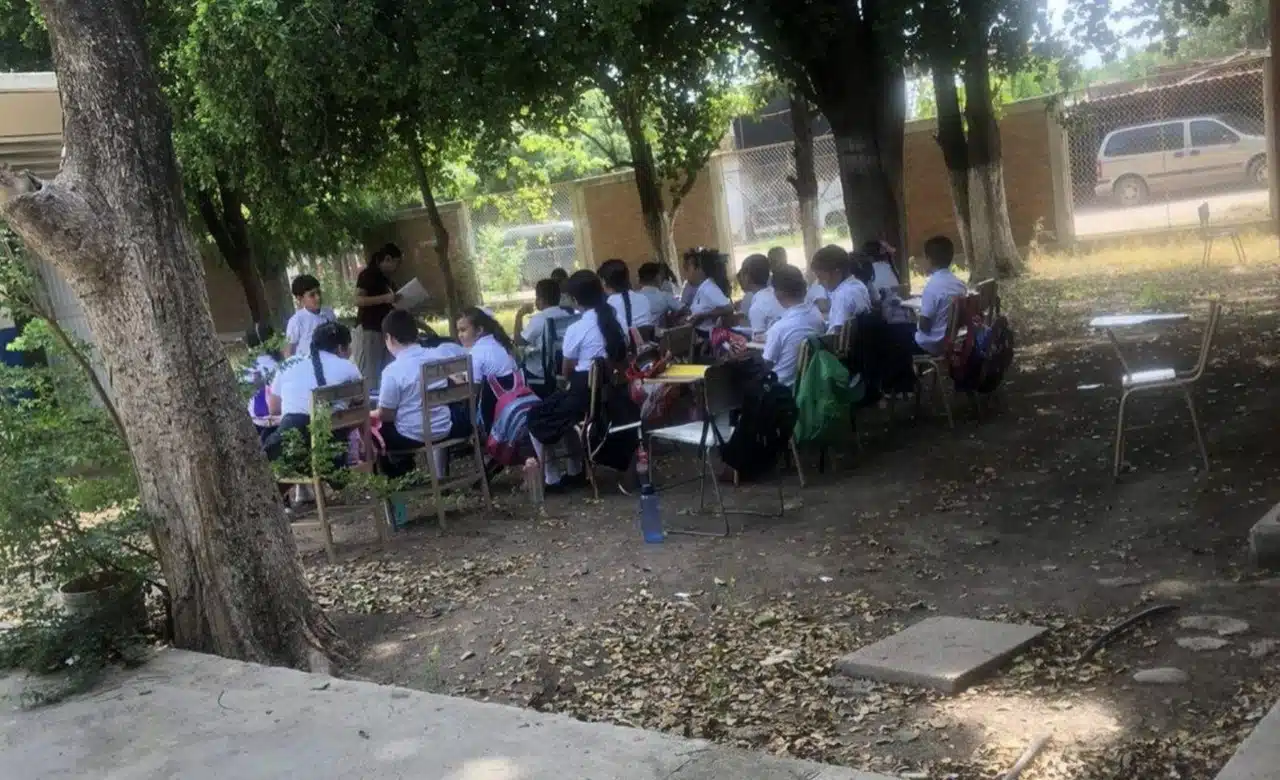 Niños sentados en butacas abajo de los árboles