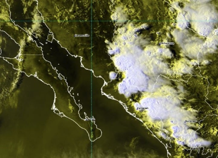 Pronóstico