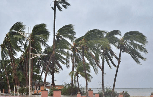 Clima en BCS