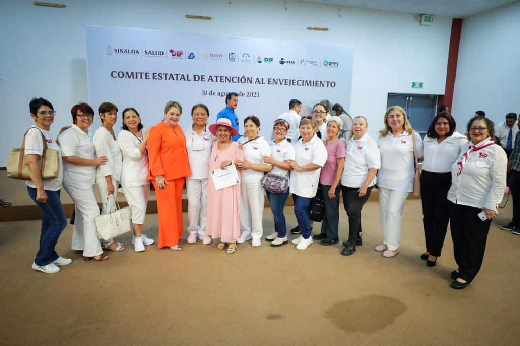 Comité Estatal de Atención al Envejecimiento
