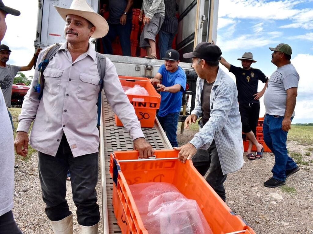 Personas, jabas y bolsas de alevines