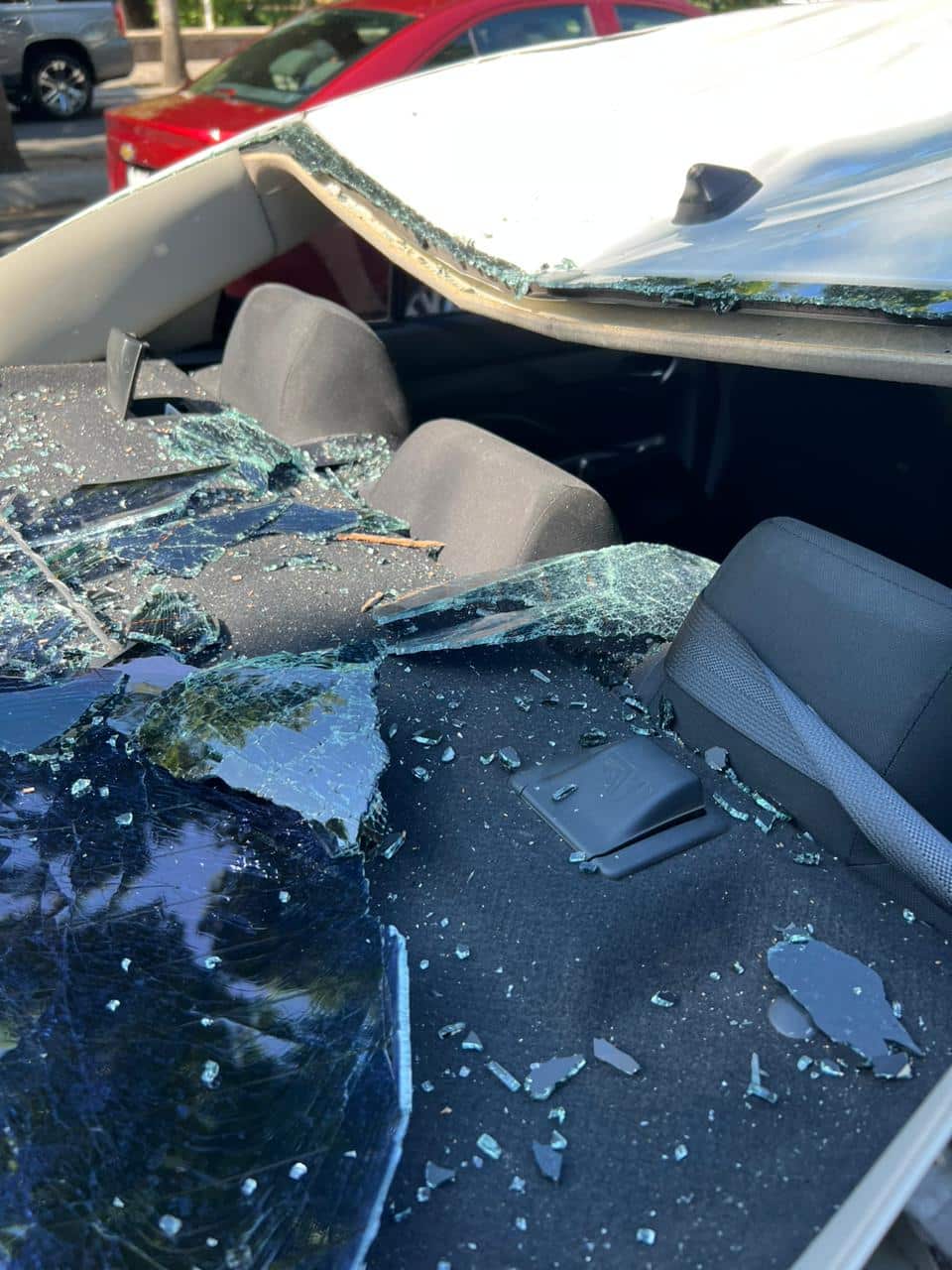 Carro dañado al caerle una palmera encima, en Culiacán