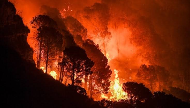 Dron graba a un niño provocando un incendio en Italia