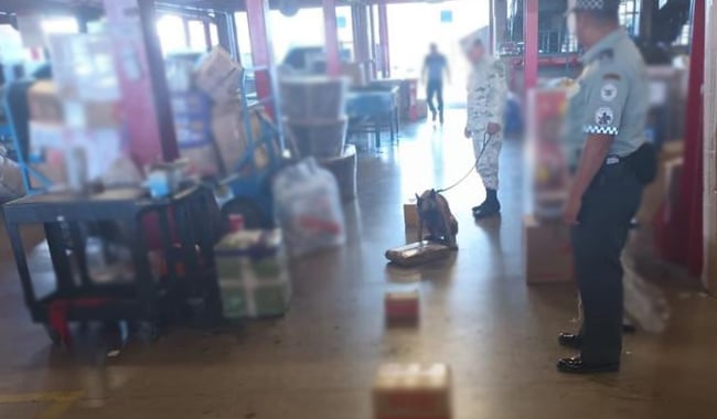 Decomiso de droga en Aeropuerto de San Luis