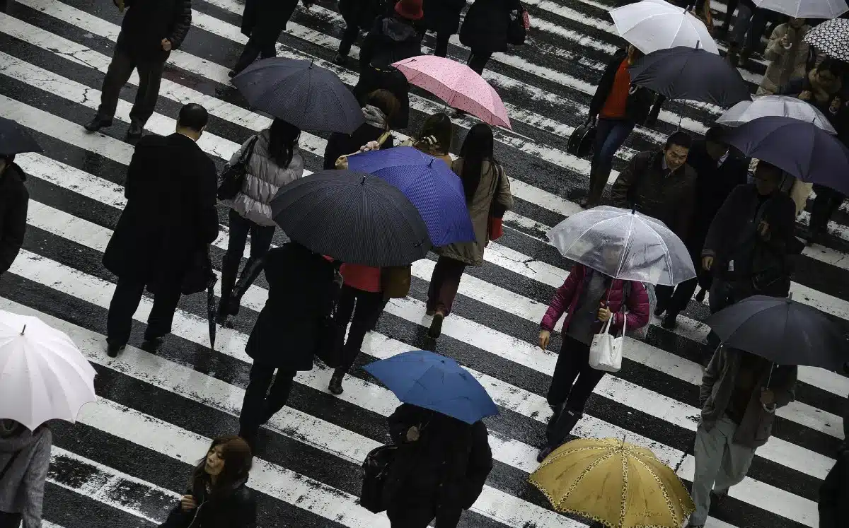 Personas cruzando una calle con paraguas en mano