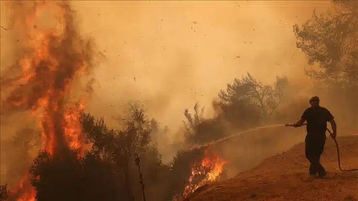 Grecia combate el incendio forestal más grande que se conozca en UE