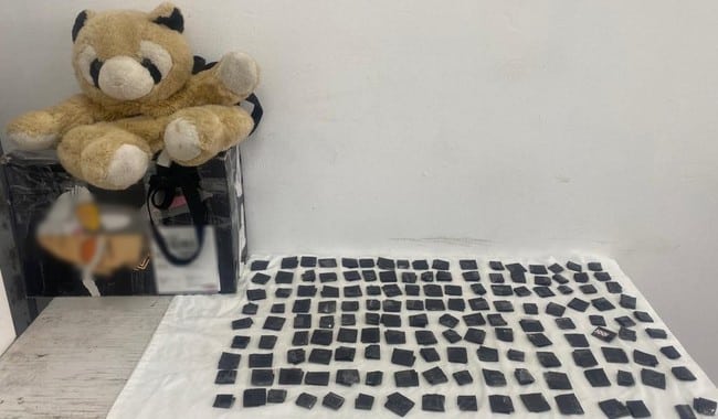 Dosis de cocaina escondidas en oso de peluche