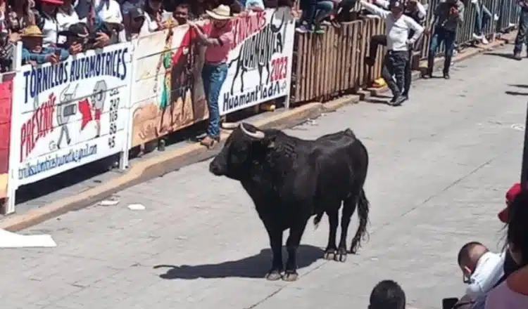 Toro entre la calle de Huamantla