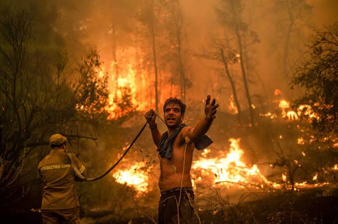 Incendios en Grecia dejan 18 personas muertas en un bosque