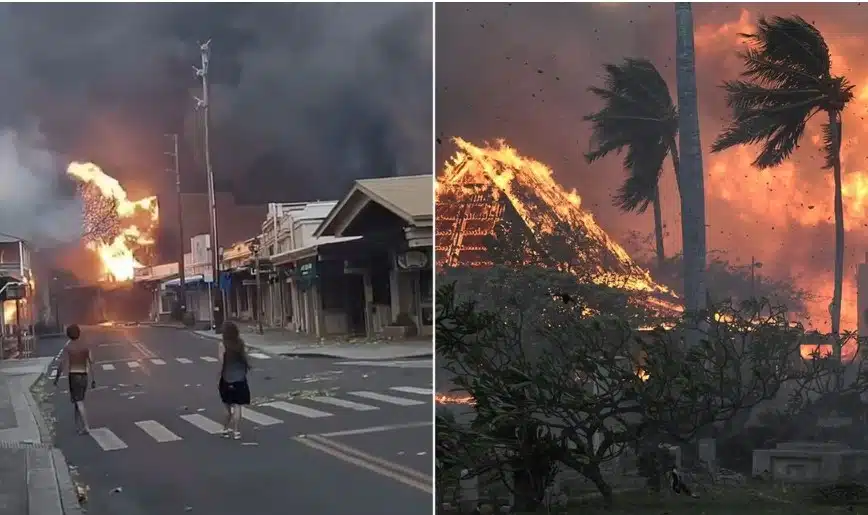 Declaran emergencia en Hawái por incendios forestales