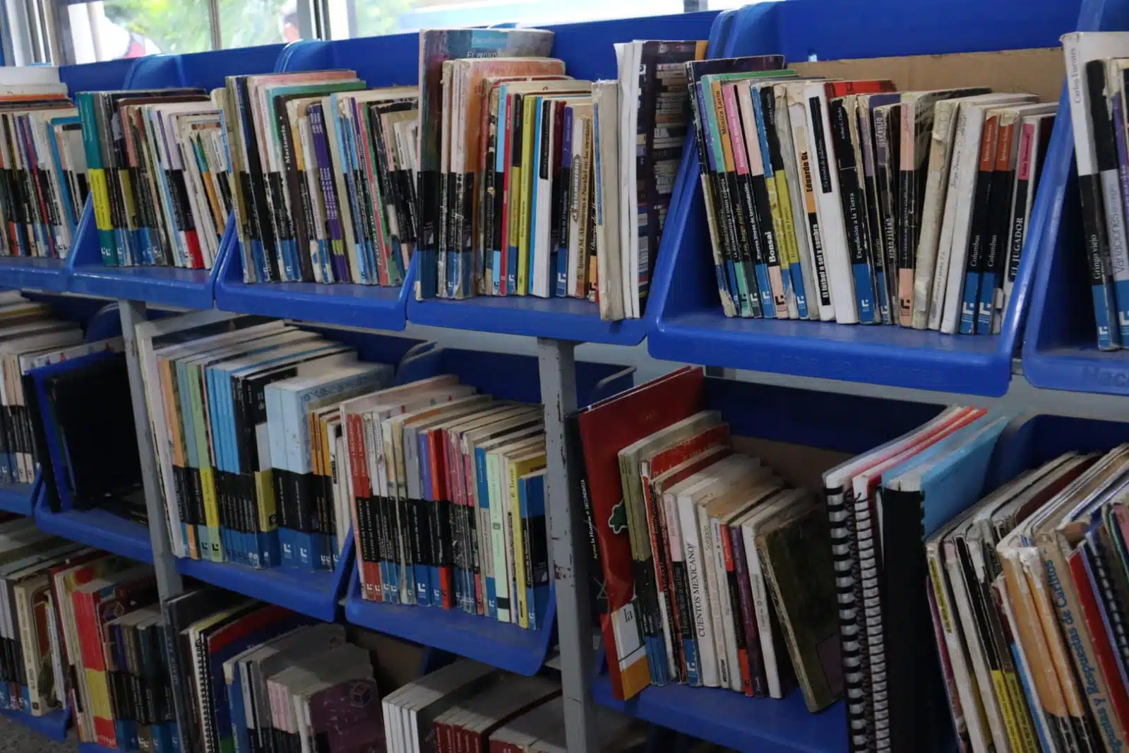 Libros en estantes de biblioteca