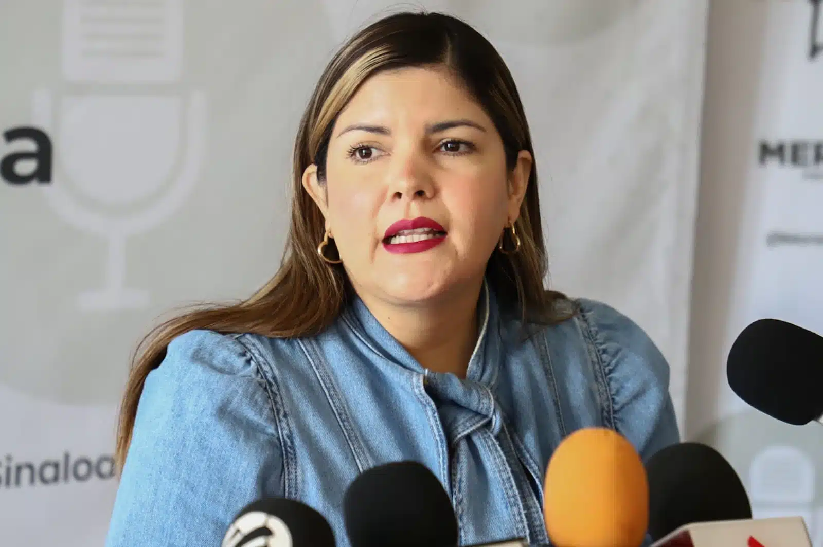 Merary Villegas Sánchez