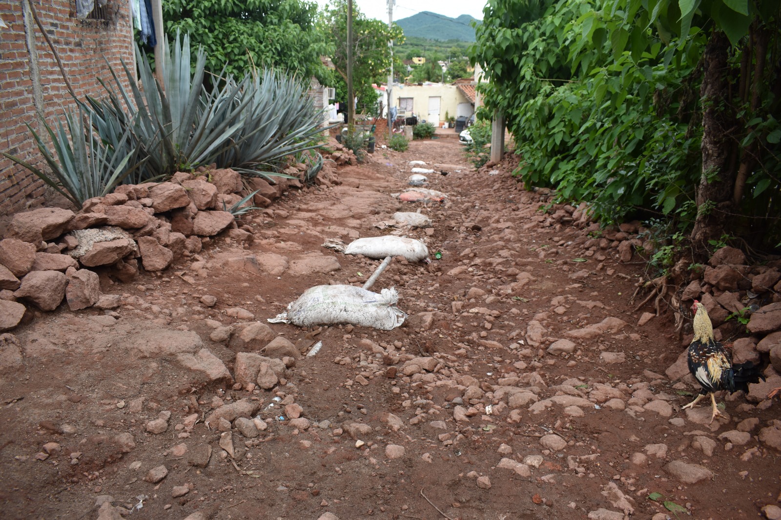 Obras de la Jumapam en El Quelite