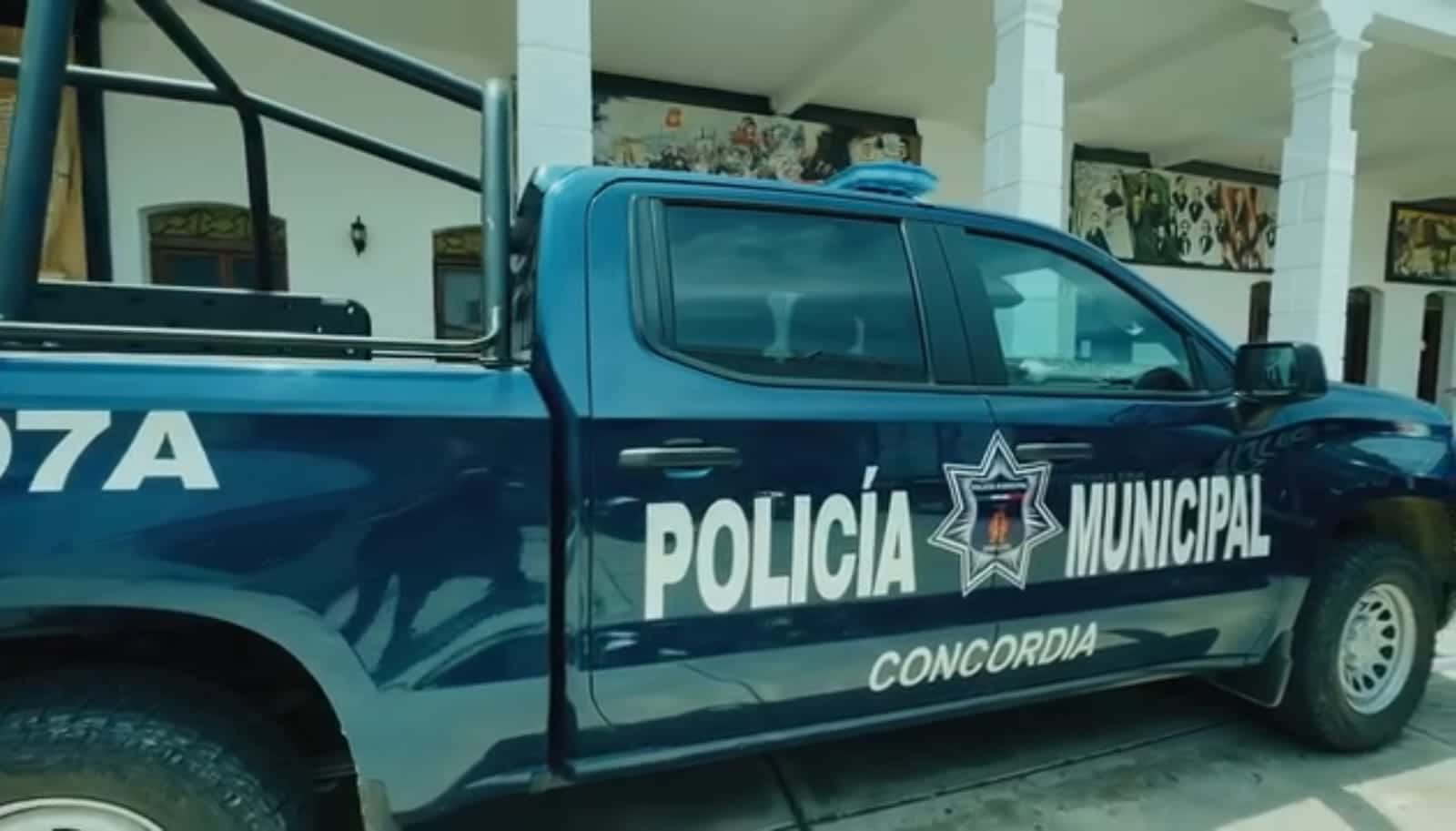 Polarizado de patrulla