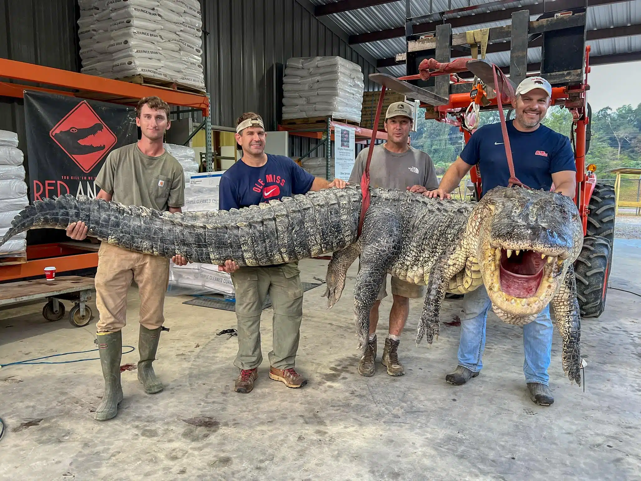 Caimán capturado en Mississippi