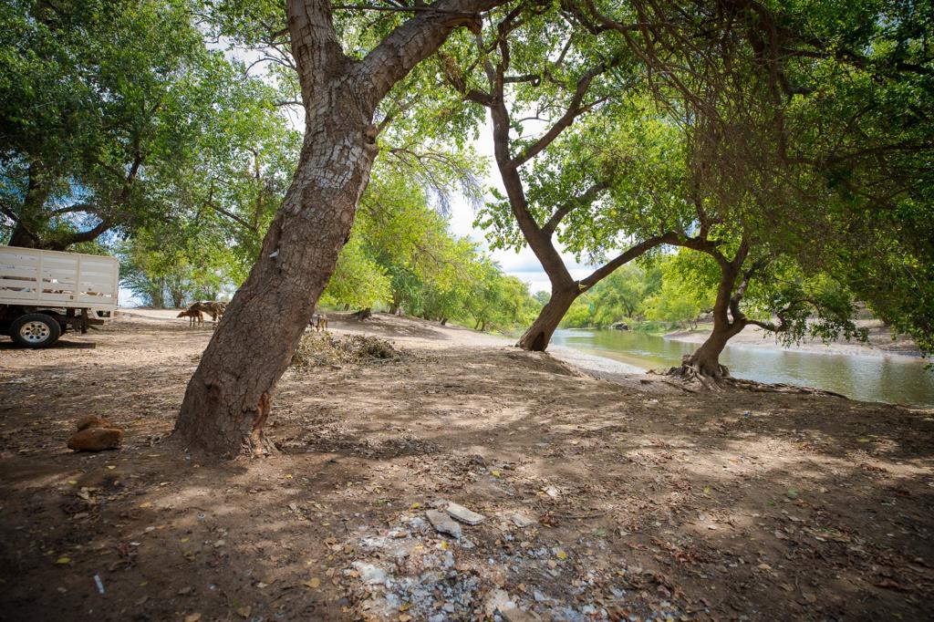 Río Sinaloa