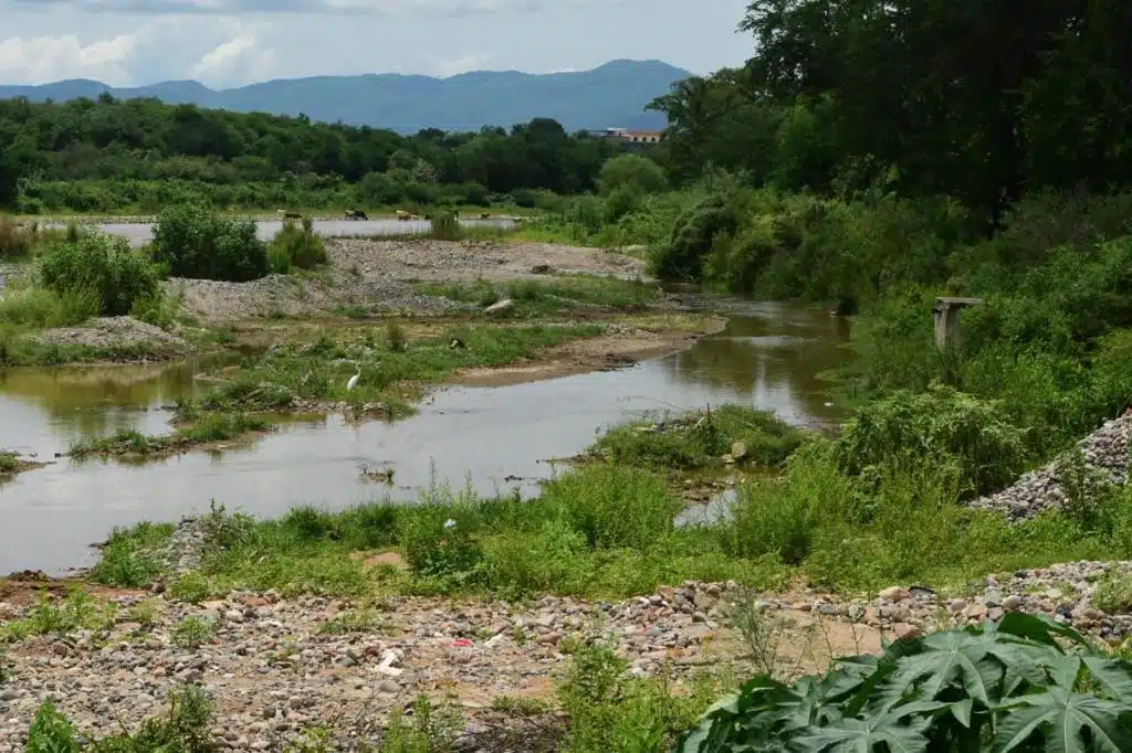 Sequía en el río Fuerte en Choix