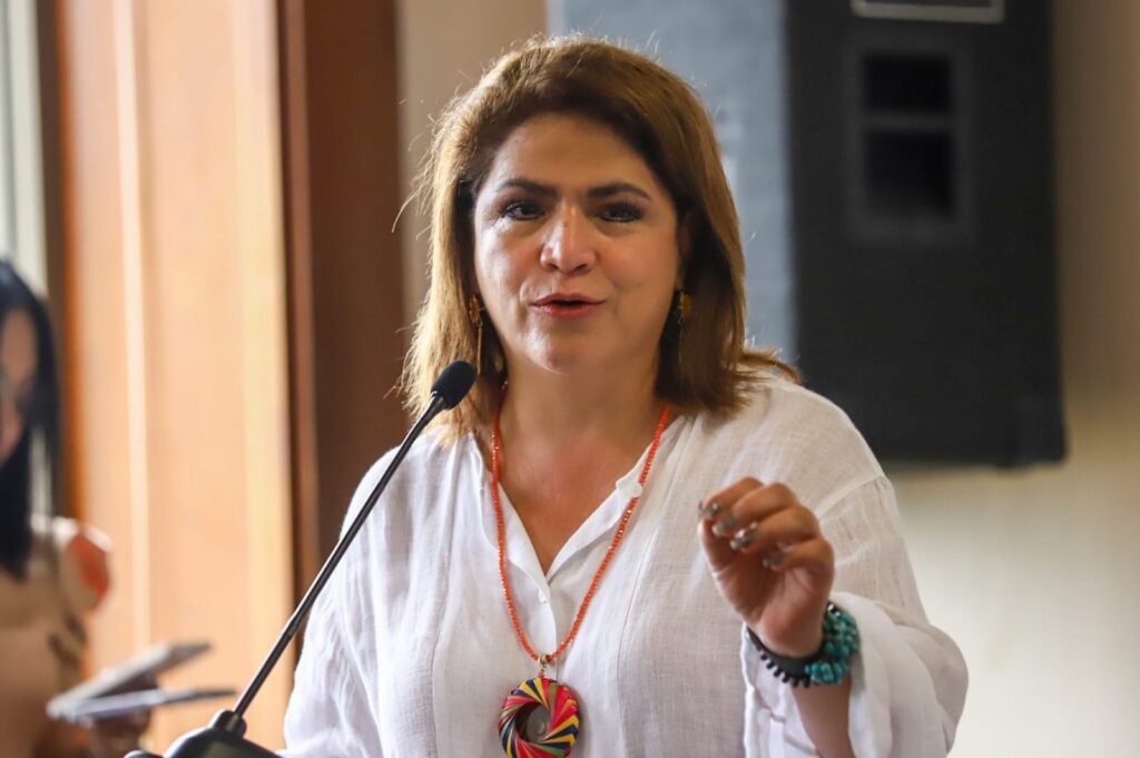 titular de la Comisión Nacional para Prevenir y Erradicar la Violencia contra las Mujeres (Conavim), Fabiola Alanís Sámano.