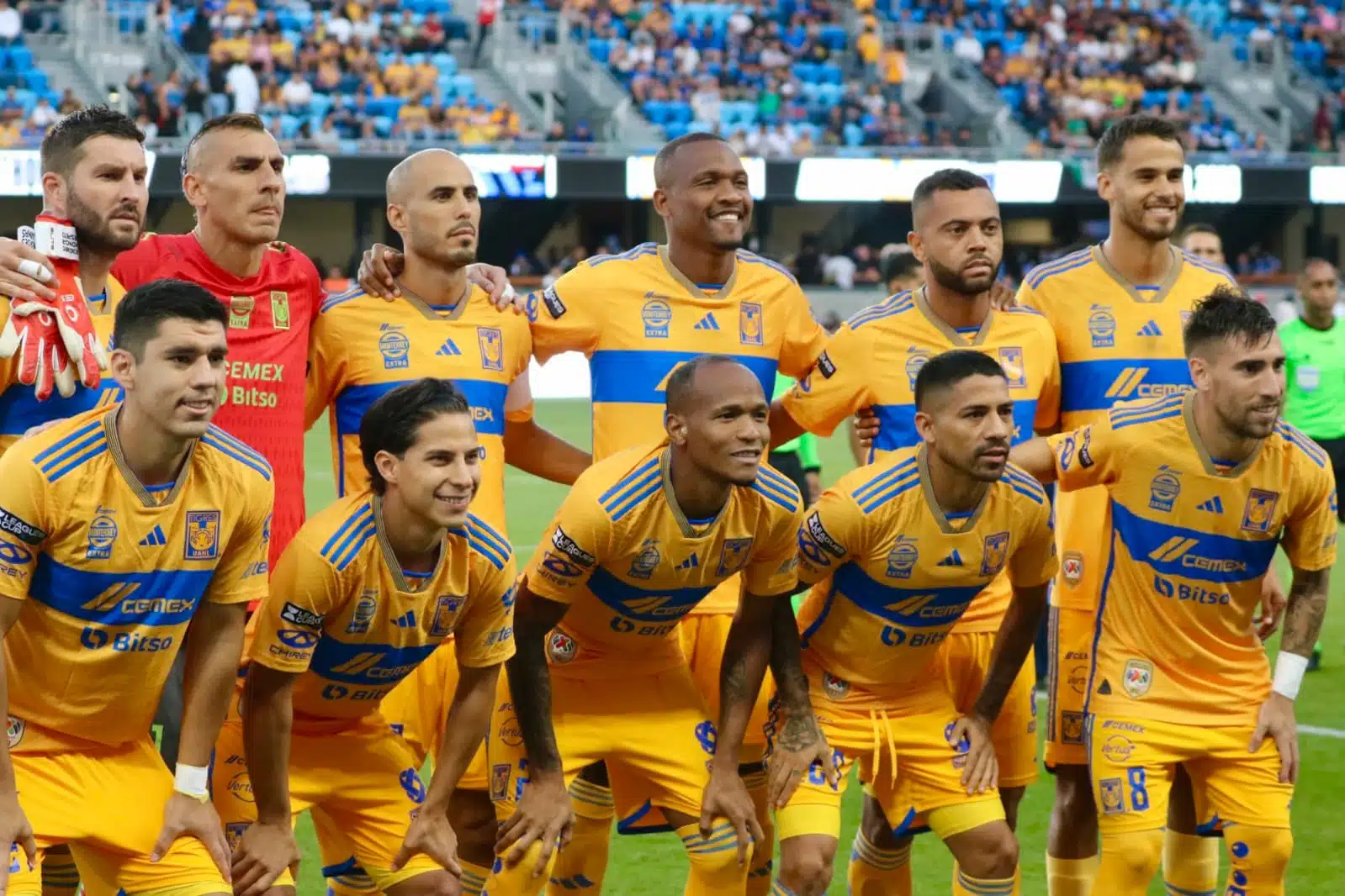 Tigres