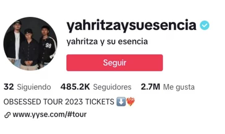Redes sociales de Yahritza y su esencia pierden seguidores de manera masiva
