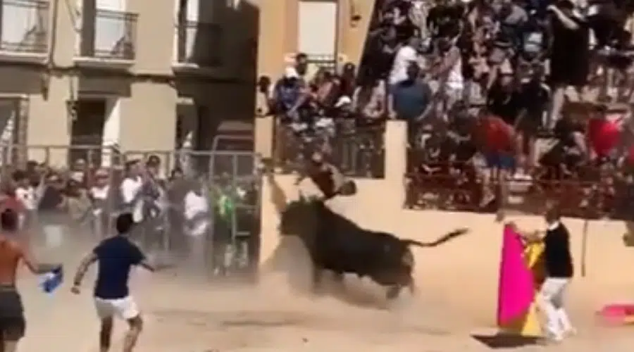 Un toro levanta por el aire y embiste a hombre en España