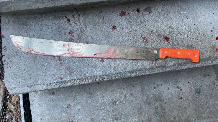 Tras rechazo amoroso, niño agrede a su amiga con un machete