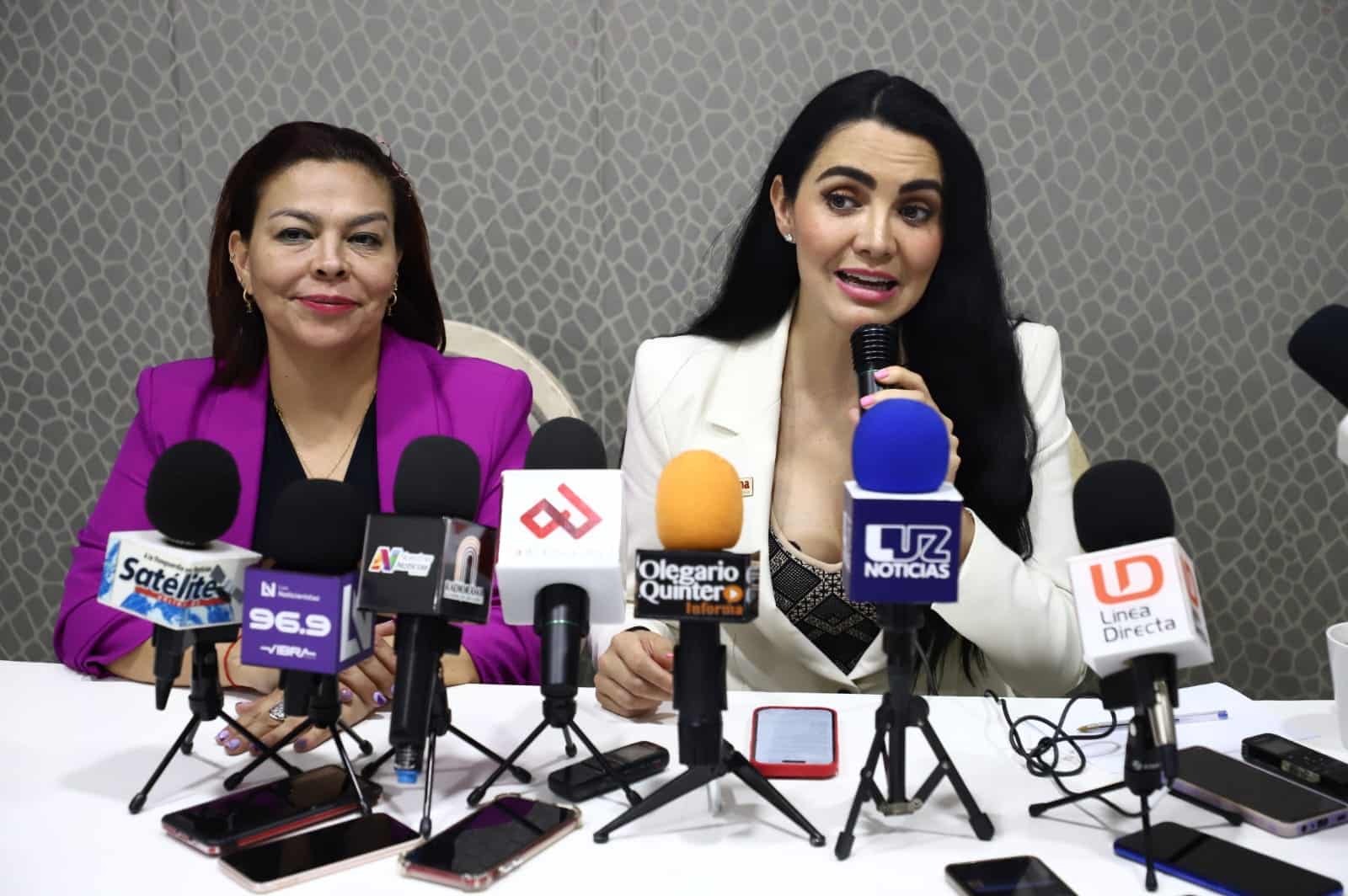 Gabriela Jiménez Godoy, vocera nacional.