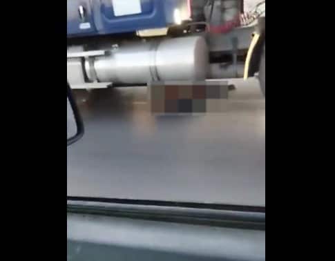 Ladrón termina en las llantas de un tráiler