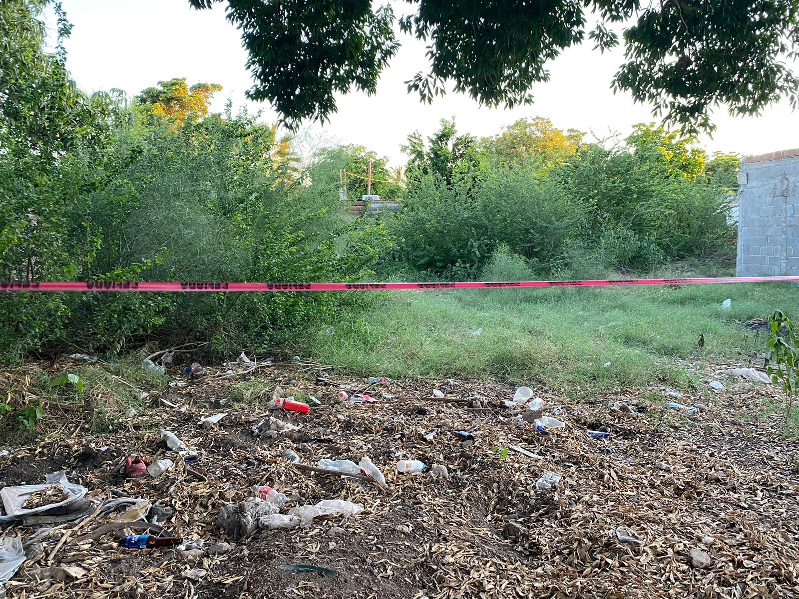 Encuentran sin vida a indigente en lote baldío de la colonia Toledo Corro en Los Mochis