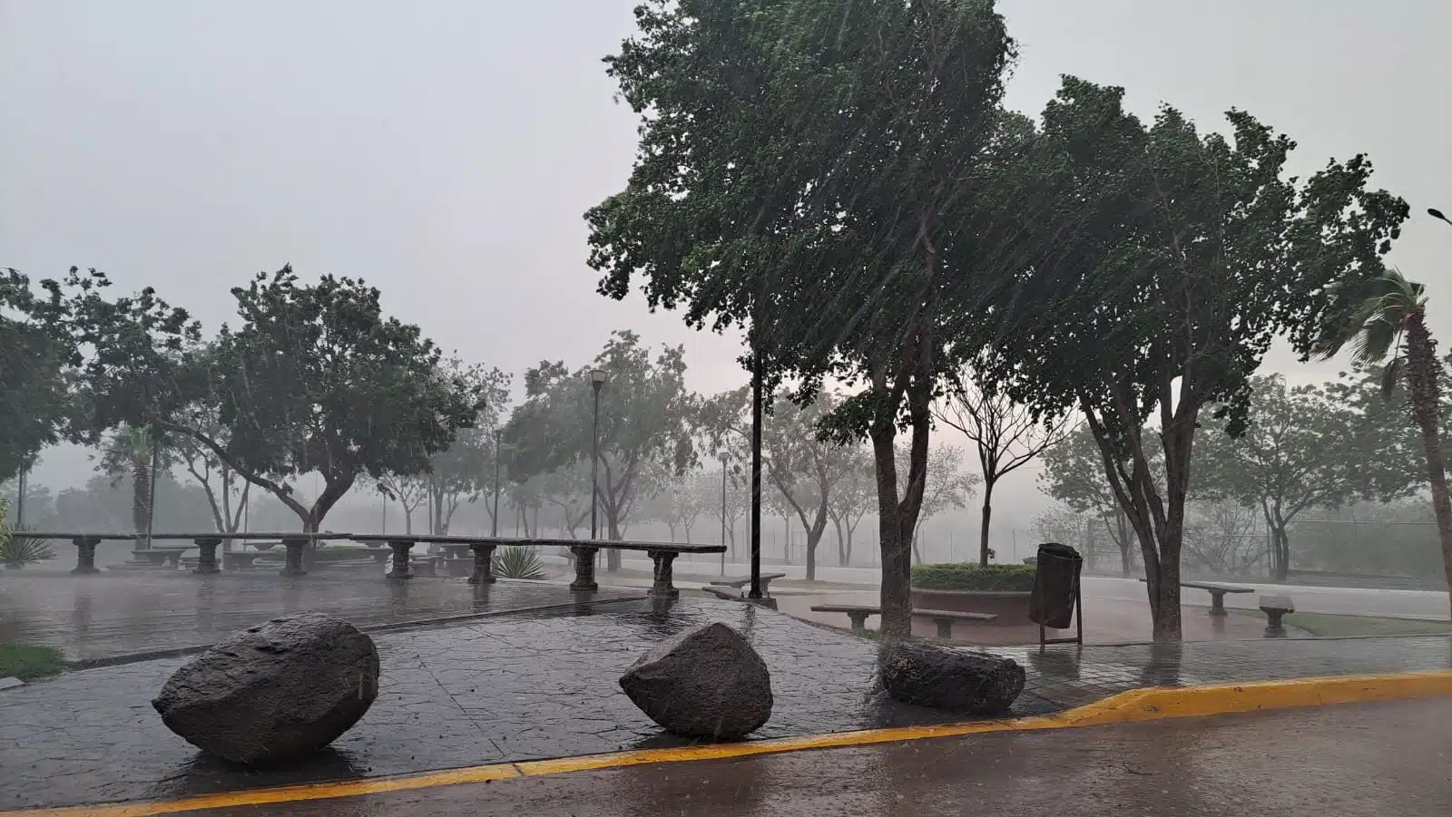 Lluvia en Guamúchil