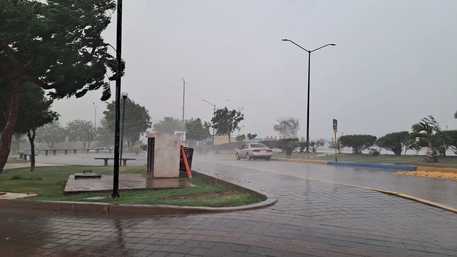 Lluvia en Guamúchil