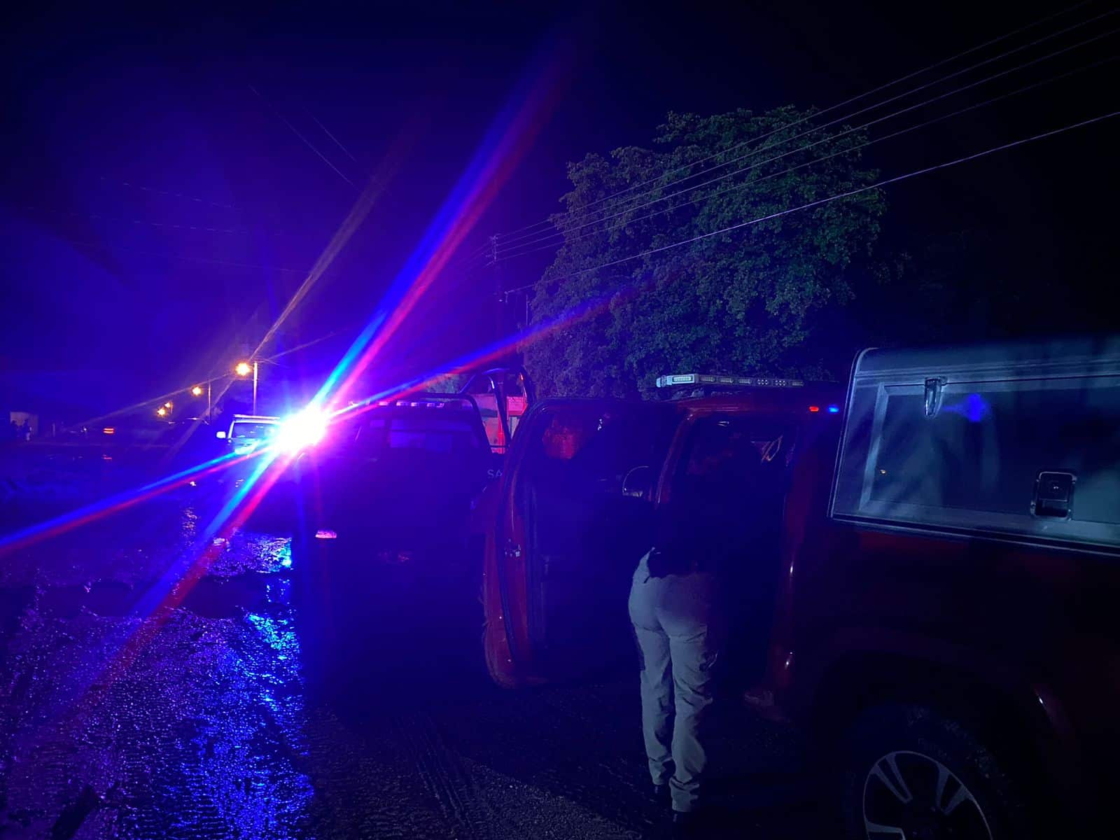 Una falda blanca floreada fue lo que identificó a Elva; estaba en el patio de su casa