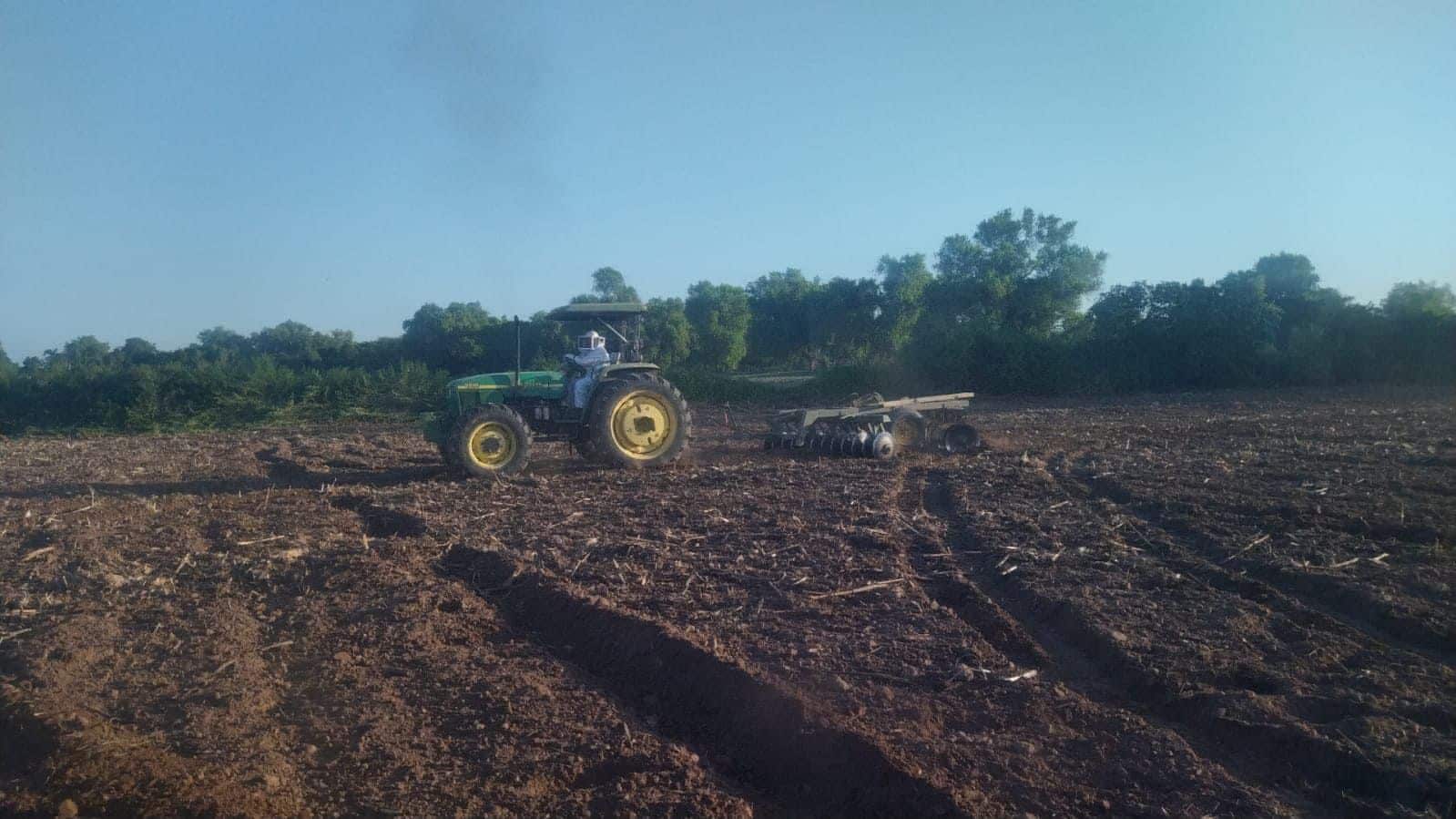 El tractor que fue atacado por las abejas