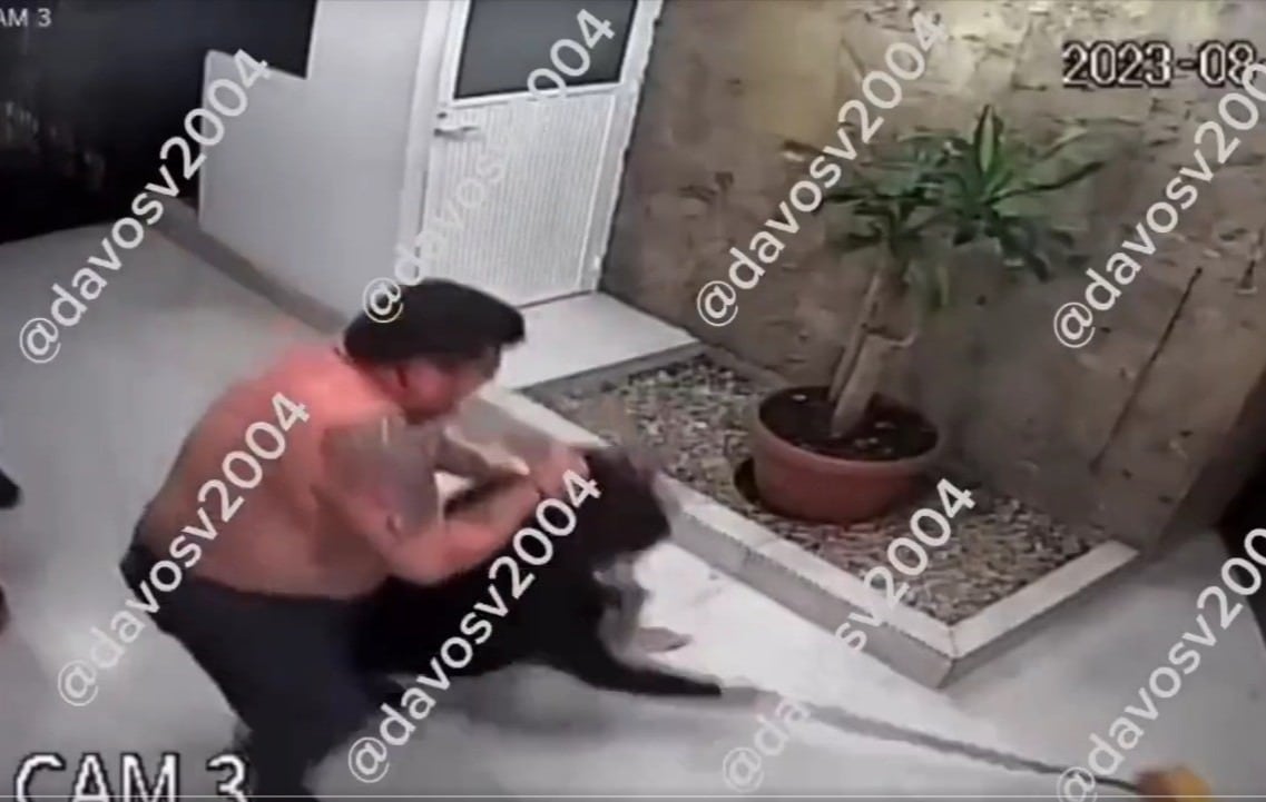 Momento de la agresión en alcaldía Benito Juárez